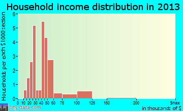 Burns household income distribution