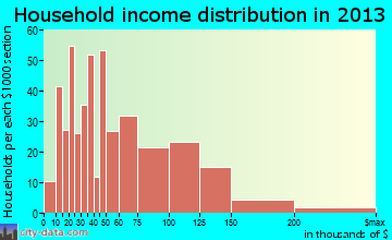Woodland Park household income distribution