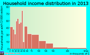 Fruita household income distribution