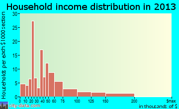 New Market household income distribution