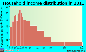 Bloomfield household income distribution
