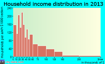 Opelika household income distribution