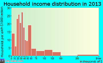 Catskill household income distribution