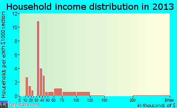 Ellicottville household income distribution