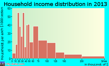 New Windsor household income distribution