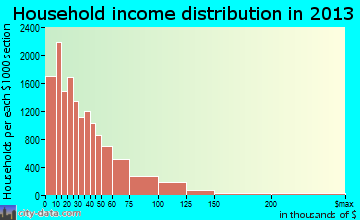 Rochester household income distribution