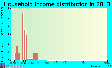 Magnolia household income distribution