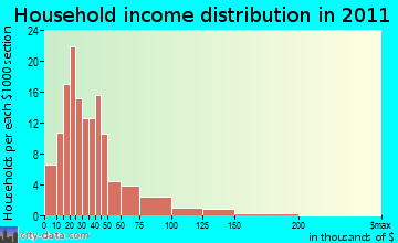 Leisureville household income distribution