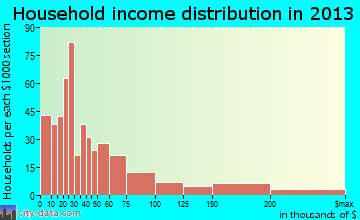 Marathon household income distribution