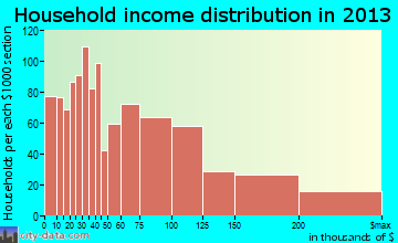Palm City household income distribution