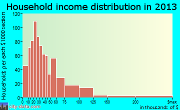 Palmetto household income distribution