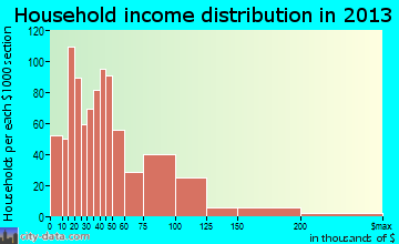 Princeton household income distribution