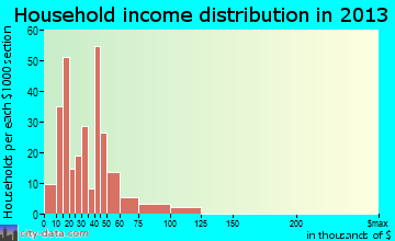 Samoset household income distribution
