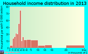 The Meadows household income distribution