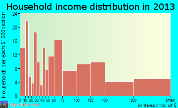 Tierra Verde household income distribution