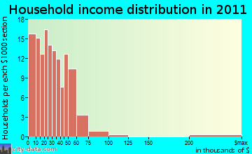 Village Park household income distribution
