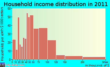 Wesley Chapel South household income distribution