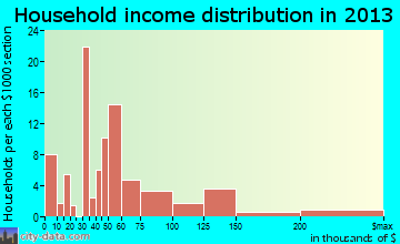 Winter Beach household income distribution