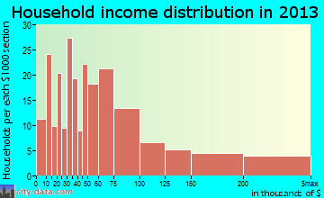 Belle Isle household income distribution