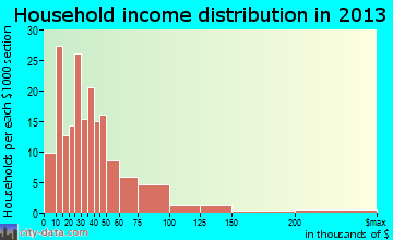 Bushnell household income distribution