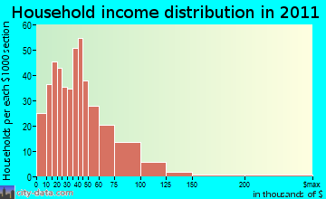 South and East Osceola household income distribution