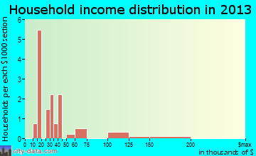 Rayle household income distribution