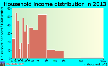 Rincon household income distribution