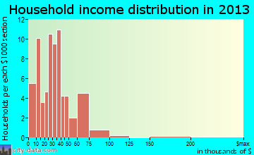 Rochelle household income distribution