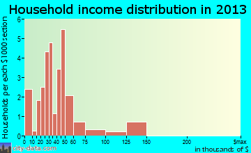 Woodville, GA household income