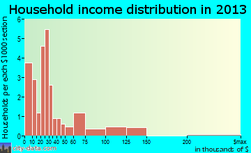 Iron City household income distribution