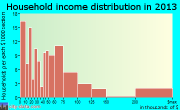 Leesburg household income distribution
