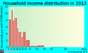 Lenox, GA household income