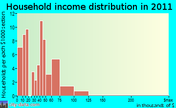 Fitzpatrick household income distribution