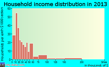 Metter household income distribution
