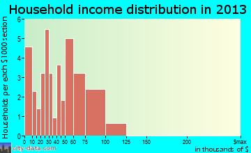 Odum household income distribution
