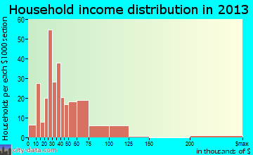 Palmetto household income distribution