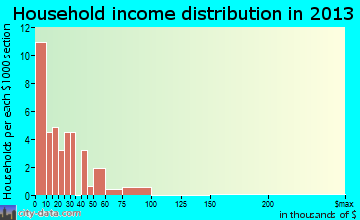Pineview, GA household income