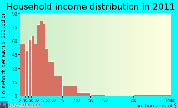 Zenith household income distribution