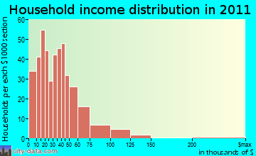 Rich Mountain household income distribution