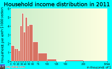 Duncanville, GA household income