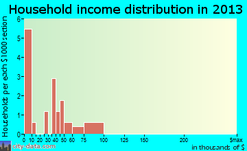 Camak household income distribution