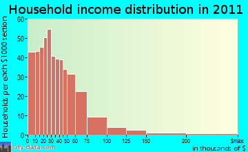 Jones Chapel household income distribution