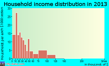 Ellaville household income distribution