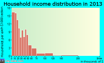 Ellijay household income distribution