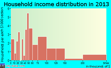 Flemington, GA household income