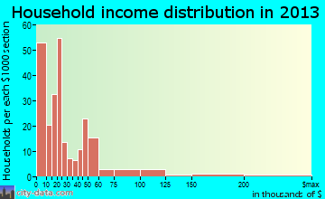 Forsyth household income distribution