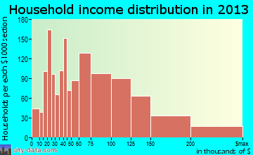 Pearl City household income distribution