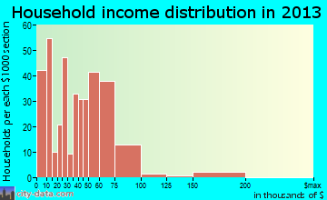 Fruitland household income distribution