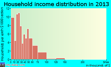 Horseshoe Bend household income distribution