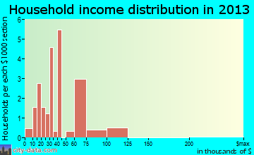 Island Park household income distribution